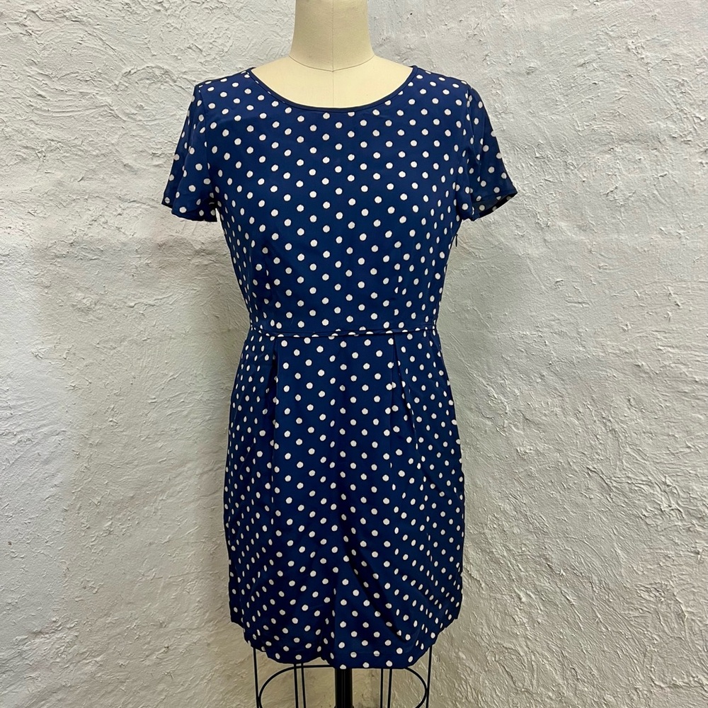 Madewell Broadway & Broome Silk Polka Dot Navy Blue Dress